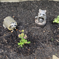 Design Toscano Bandit, The Raccoon Statue & Reviews | Wayfair